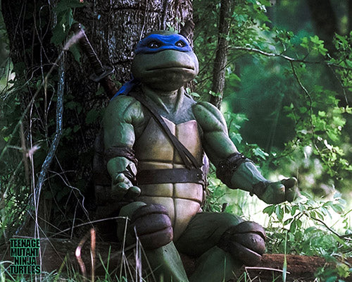 David Forman autograph "35th Anniversary Teenage Mutant Ninja Turtles" signed 8x10