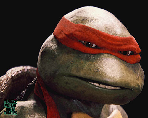 Josh Pais autograph "35th Anniversary Teenage Mutant Ninja Turtles" signed 8x10